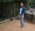 0318-1438 Canberra Zoo (3185342)